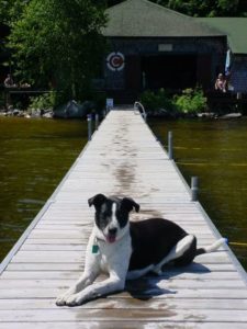  Lily Chills Out on the Runoia Docks