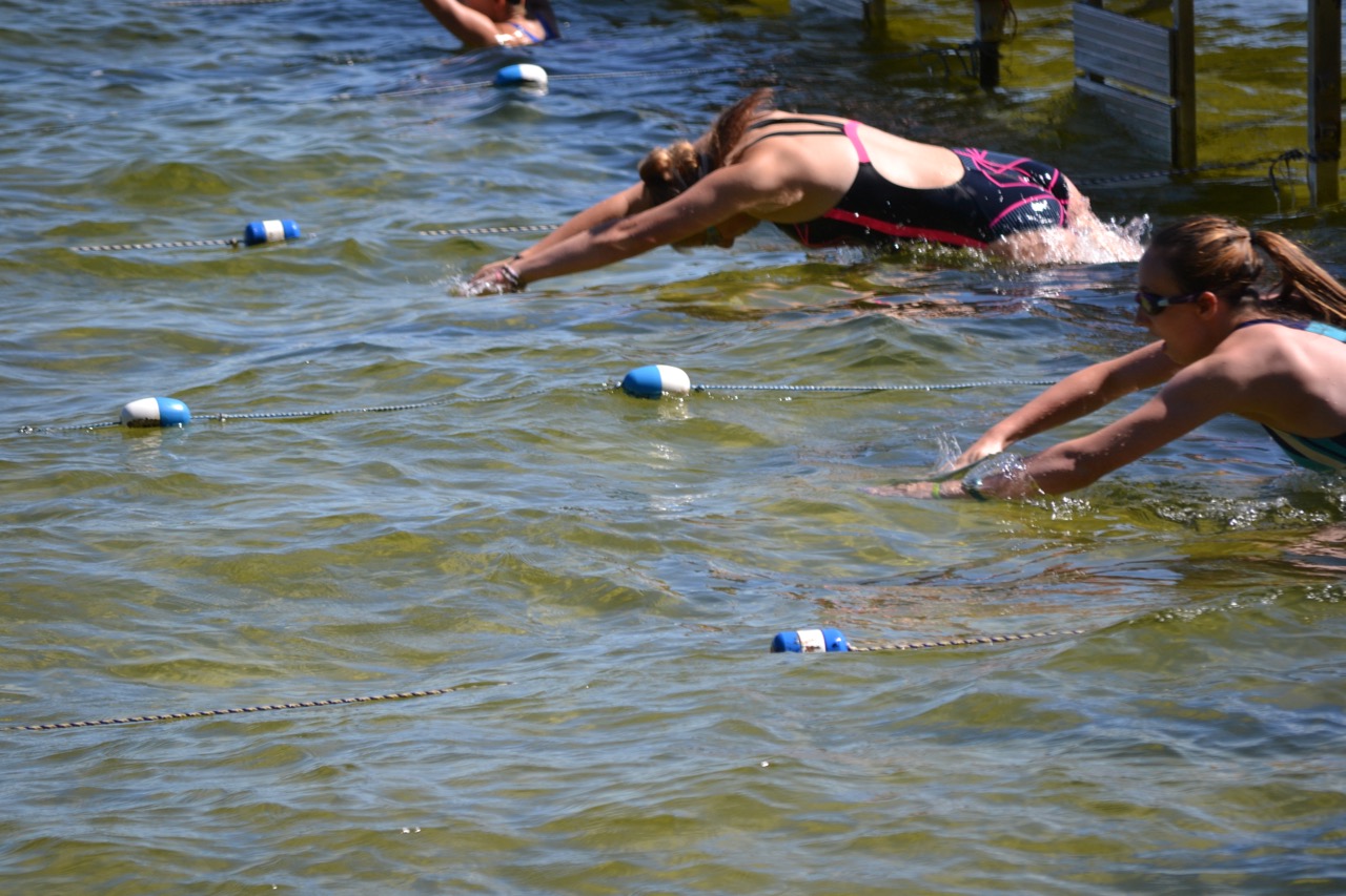Blue White Swim Races