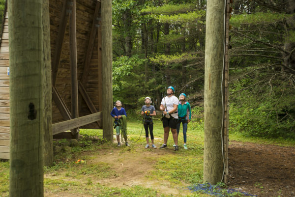 Four people wearing helmets and harnesses stand on the ground looking up at a wooden structure in a forested area.